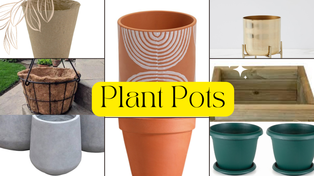 Indoor Plant Pot Size Shape Guide For  Houseplants