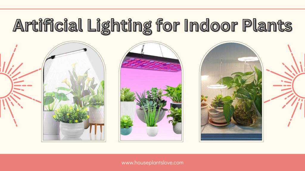 Artificial Grow Lights for Indoor Plants