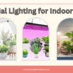 Artificial Lighting for Indoor Plants