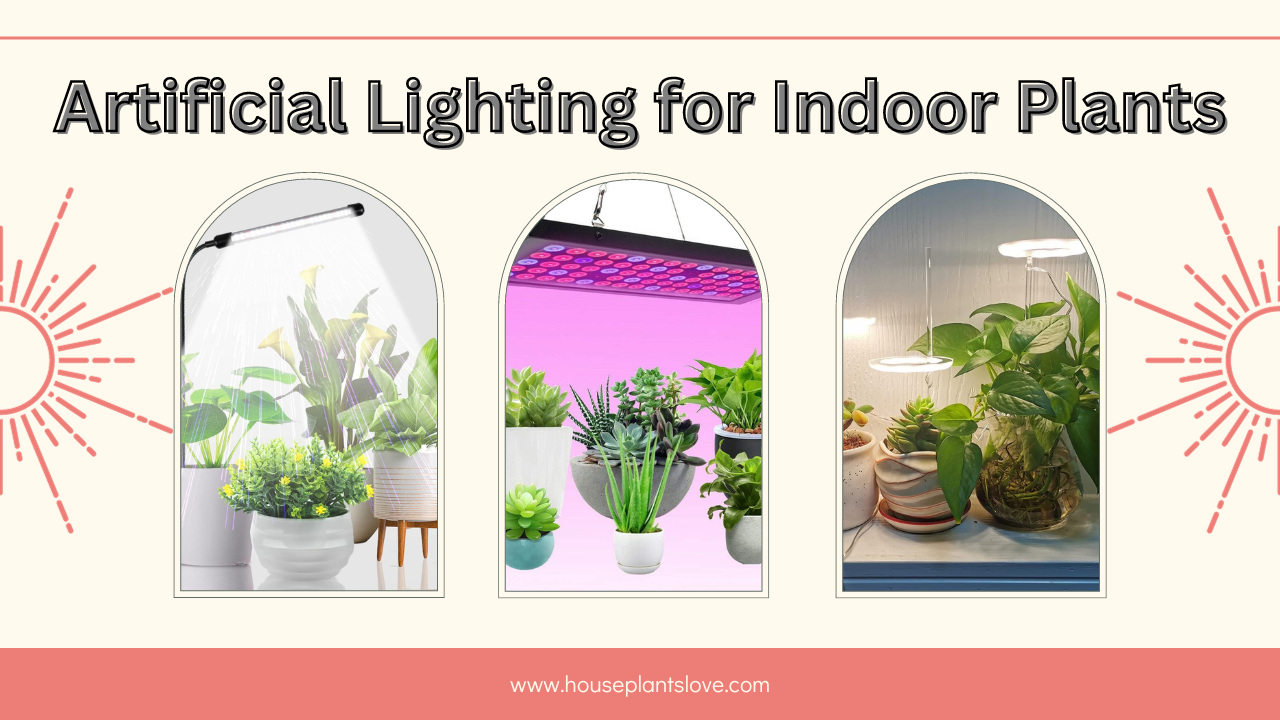 A Beginner's Guide to Artificial Lighting for Indoor Plants House Plants Love