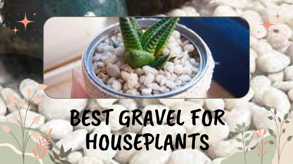 Best Gravel For Houseplants 