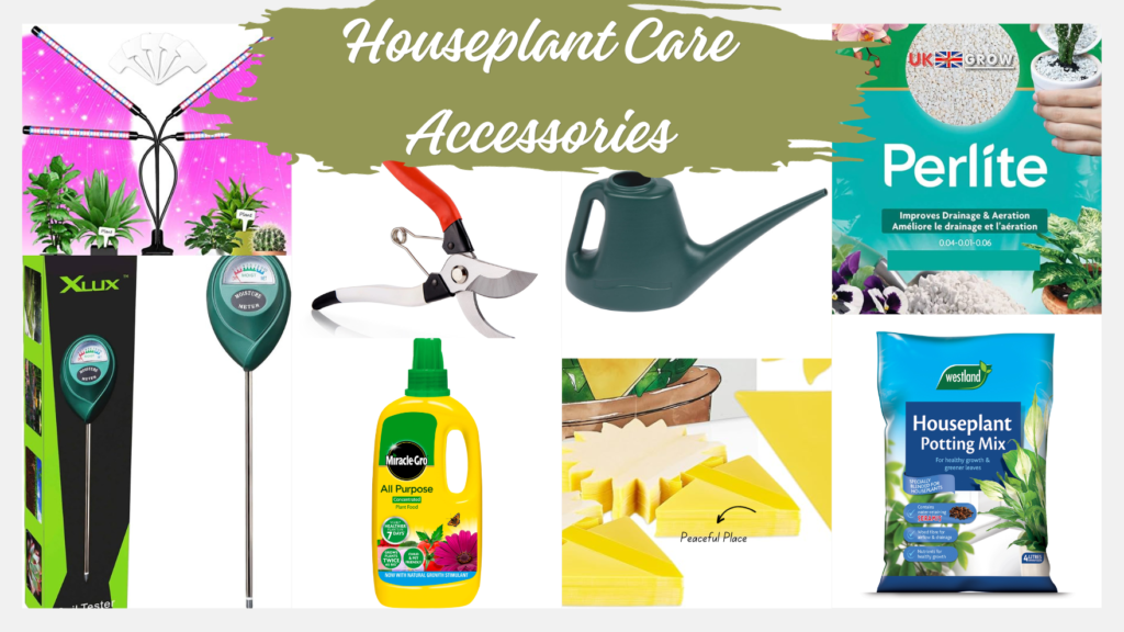 Houseplant Care Accessories for Every Indoor Plant