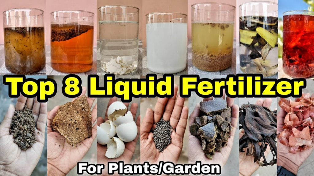 Top 8 Homemade Organic Liquid Fertilizers for HousePlants or Garden