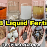 Top 8 Homemade Organic Liquid Fertilizers for HousePlants or Garden