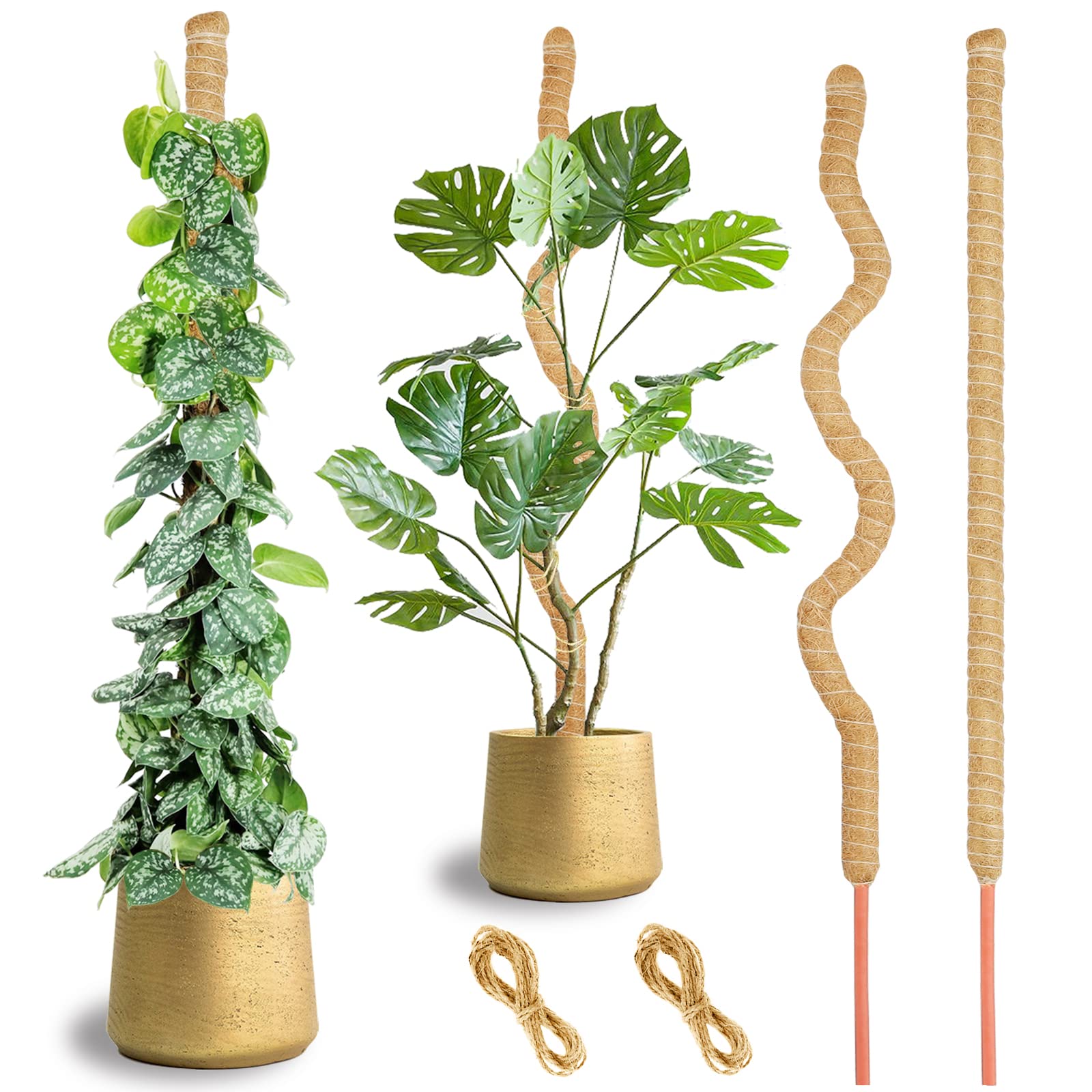 Discover How To Use, Create A Moss Pole For Indoor Plants: Benefits ...